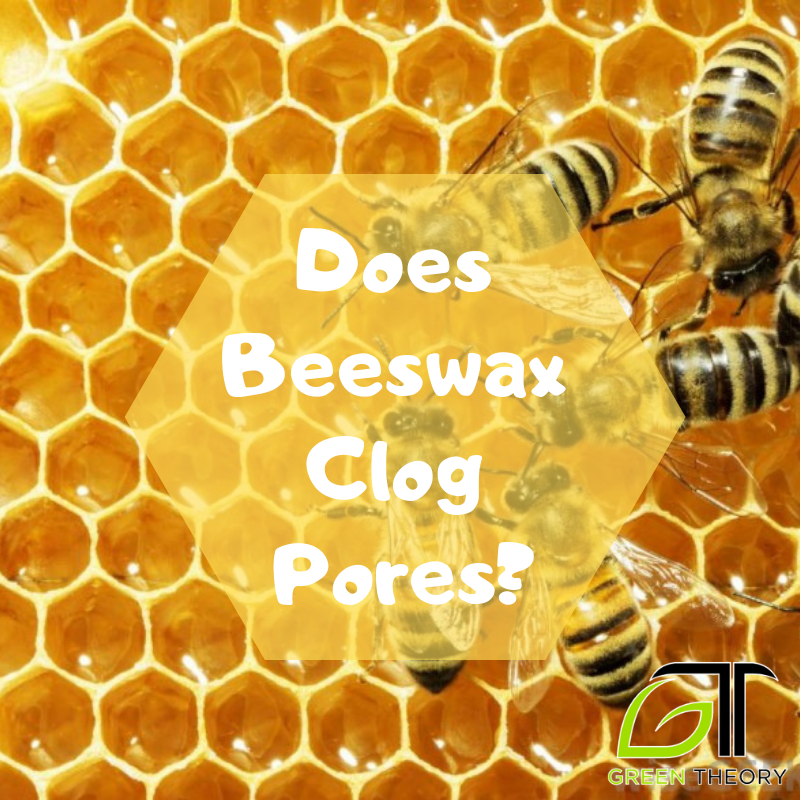 picture of beeswax with honey bees on it. The title "Does beeswax clog pores?' is prominently displayed as text superimposed over the image and the GT Green Theory logo is in the bottom right corner