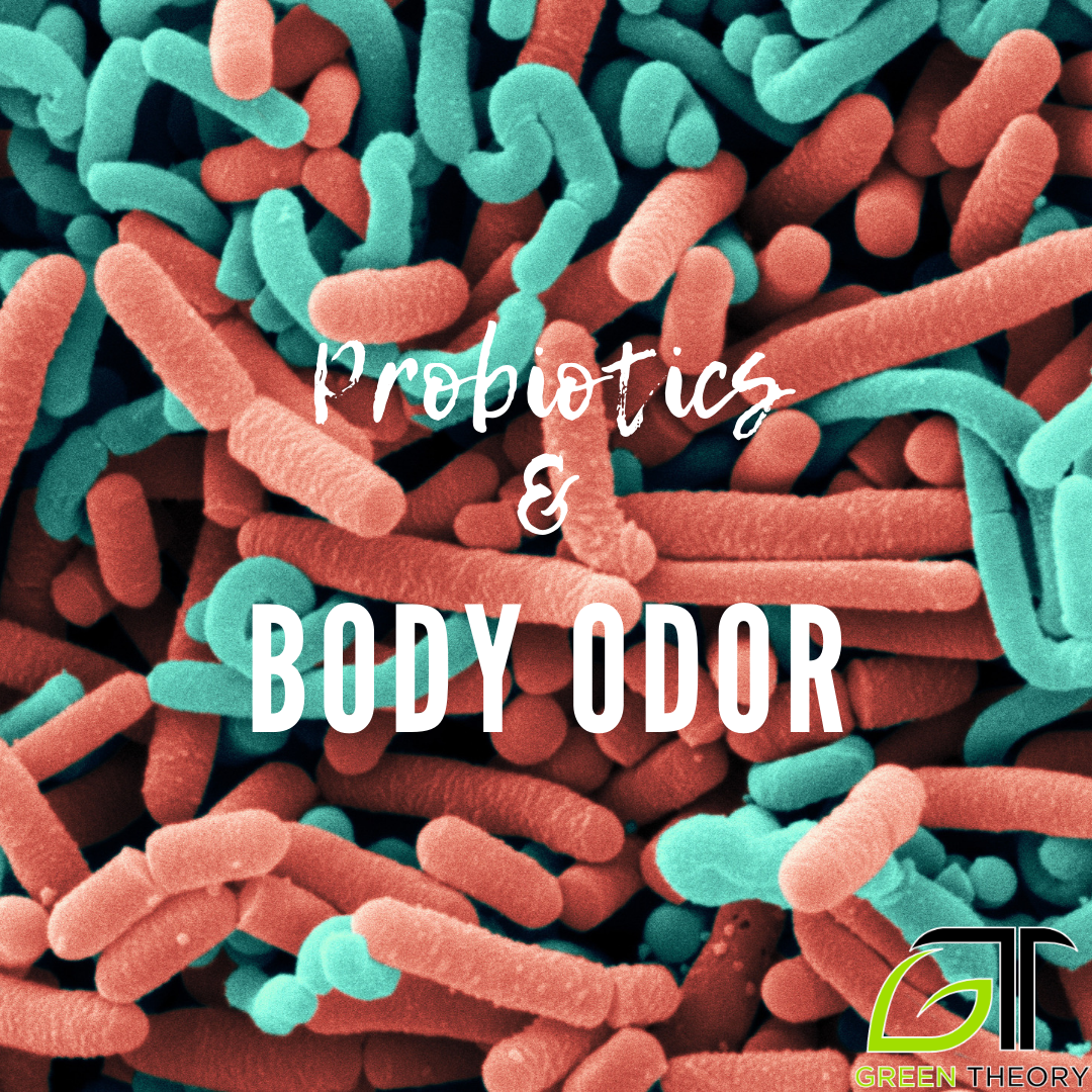 microscope image of bacteria with title and green theory logo overlay