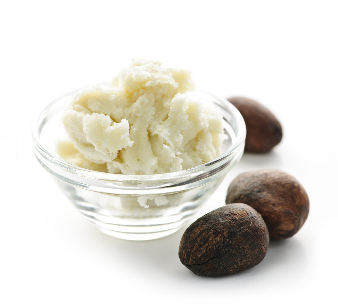 shea nuts with a bowl filled with shea butter
